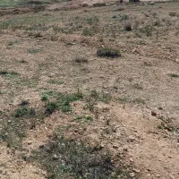 1260متر زمین کشاورزی