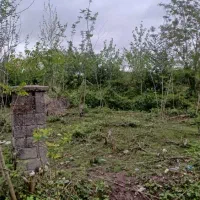 خرید زمین در منطقه لولمان