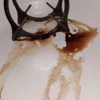 شویندهای نانو اصل به صورت تک وعمده