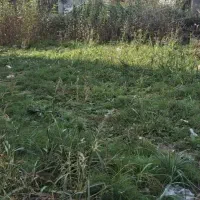 مشارکت در ساخت