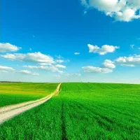 زمین-کشاورزی-باغ-ویلا