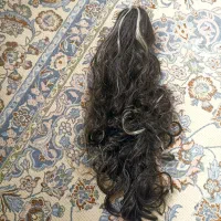 موی مصنوعی کلیپسی