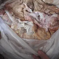 انغوزه خ ریدا ر