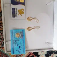 سکه پارسیان و گوشواره