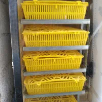 جوجه کشی آسان با دستگاه 168عددی ایران چیک|لوازم جانبی حیوانات|بندر انزلی, چهارفریضه|دیوار