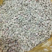 حبوبات