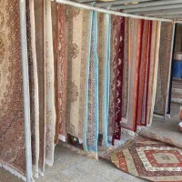 قالیشویی برتر|خدمات نظافت|تاکستان, |دیوار