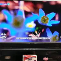 تلویزیون ال ای دی ۴۹ اینچ ال جی