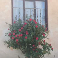 خانه روستایی۲۷۰متری با ۸۰متر بنا