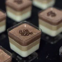 تهیه انواع فینگر فود