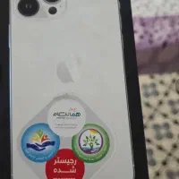13پرومکس۲۵۶ zaa شرکتی