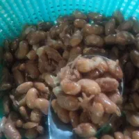 لوبیا چیتی ازبکی|خوردنی و آشامیدنی|شیراز, شهرک مطهری|دیوار