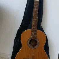 گیتار پارسیM5