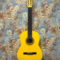 گیتار نو فروش فوری