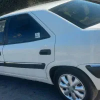 زانتیا خشک عروسک