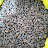 کشمش|خوردنی و آشامیدنی|شیراز, شهرک مهرگان|دیوار