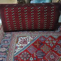 دوتا فرش ۶ متری بدون هیچ پارگی و پوسیدگی|فرش|رشت, جانبازان|دیوار