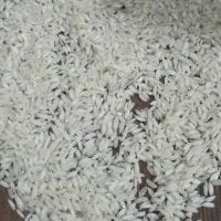 برنج عنبر|خوردنی و آشامیدنی|اهواز, فاز ۲ پادادشهر|دیوار