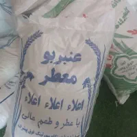 برنج عنبربو معطر وخوشمزه وخورده برنج کنفیروزی