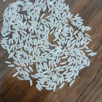 برنج طارم هاشمی درشت