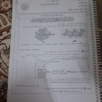 زیست