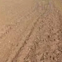 زمین. سپیدان .هما شهر