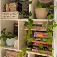 هرجا هستید یادگیری زبان انگلیسی را شروع کنید