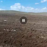 اجاره زمین کشاورزی در بویین زهرا|اجارهٔ دفتر صنعتی، کشاورزی، تجاری|بوئین زهرا, |دیوار