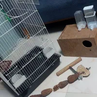 مقداری وسایل پرنده