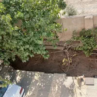 ویلا باغ ۱۲۵۰ متری، مهرآباد، نوده ،رودهن|فروش خانه و ویلا|رودهن, |دیوار