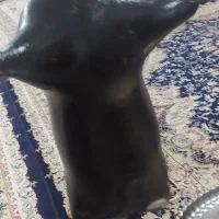 هیزه|ظروف نگهدارنده، پلاستیکی، یک‌بارمصرف|جوانرود, |دیوار