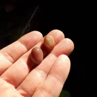 پک ۱۱ عدد سنگهای متنوع|جواهرات|ری, دولتآباد|دیوار