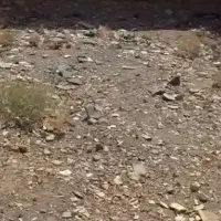 زمین مسکونی