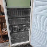 فریزر تک سالم