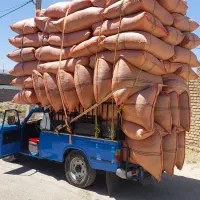 یونجه هرده گونی شده