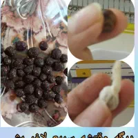 استخدام در کارخانه شکلات