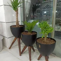 فروش اجناس کامل مغازه