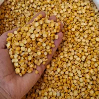 ارزان سرای ،پخش حبوبات|خوردنی و آشامیدنی|تهران, حسن‌آباد|دیوار