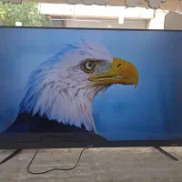 تلویزیون 55 اینچ evvoli هوشمند 4k