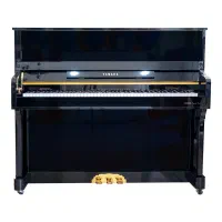 پیانو آکوستیک فقط 29900|پیانو، کیبورد، آکاردئون|مشهد, امیر|دیوار