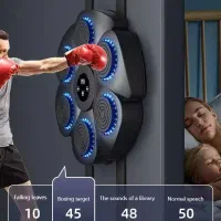 کیسه بوکس هوشمند موزیکال همراه با دستکش بوکس|تجهیزات ورزشی|تهران, باغ فیض|دیوار