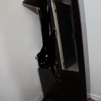 جاکفشی آینه دار