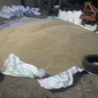 تخم کتان یا گوش دنی