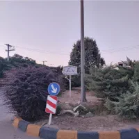 نسیم ۱ جنوبی۱۸۰ متری|فروش زمین و ملک کلنگی|شاهینشهر, ۹ دی|دیوار