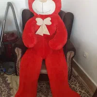 خرس ۲ متری