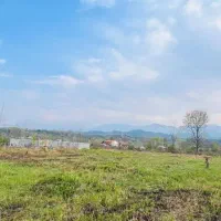 زمین باغی به متراژ ۵۰۰متر|فروش زمین و ملک کلنگی|املش, |دیوار