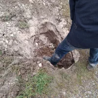 عیب یاب کابل