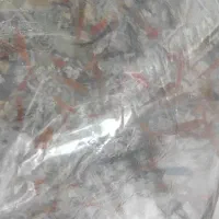 ماهی مولی و گوپی