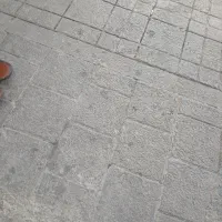 دوعدد کارگر  در فسفودی