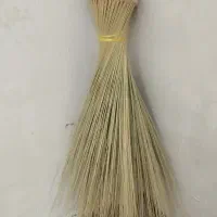 جارو زابلی